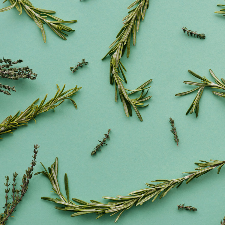 Herbal Fragranced Body Care