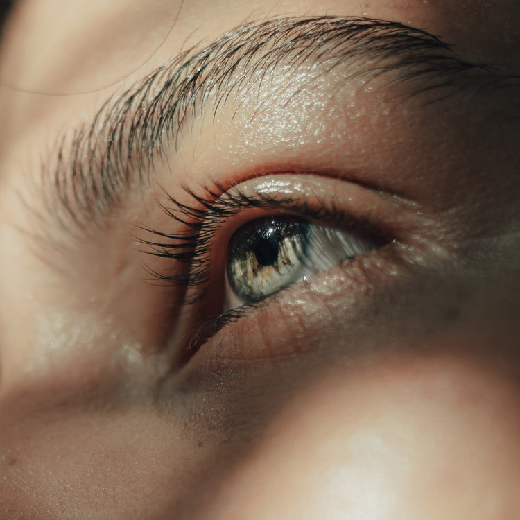 eye with natural light shining on it 